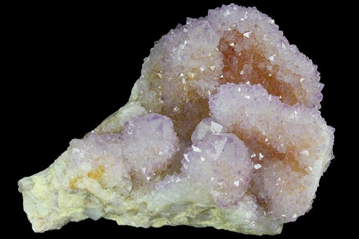 Cactus Quartz (Amethyst) Crystal Cluster - South Africa #180724